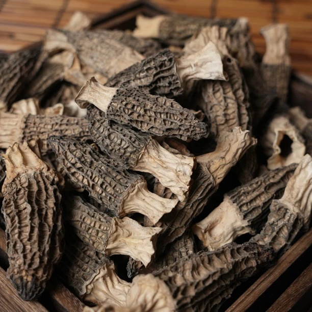 捡漏！六妹羊肚菌，完整4-6公分丑菇，2024年新货（颜值控慎拍）