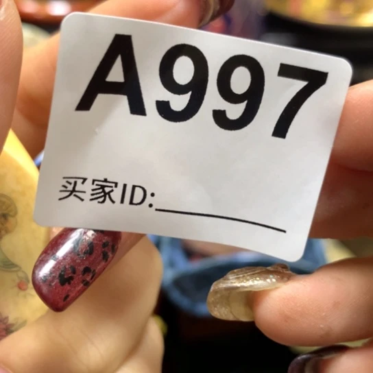 K****g瓷瓷瓷瓷瓷瓷瓷瓷瓷
