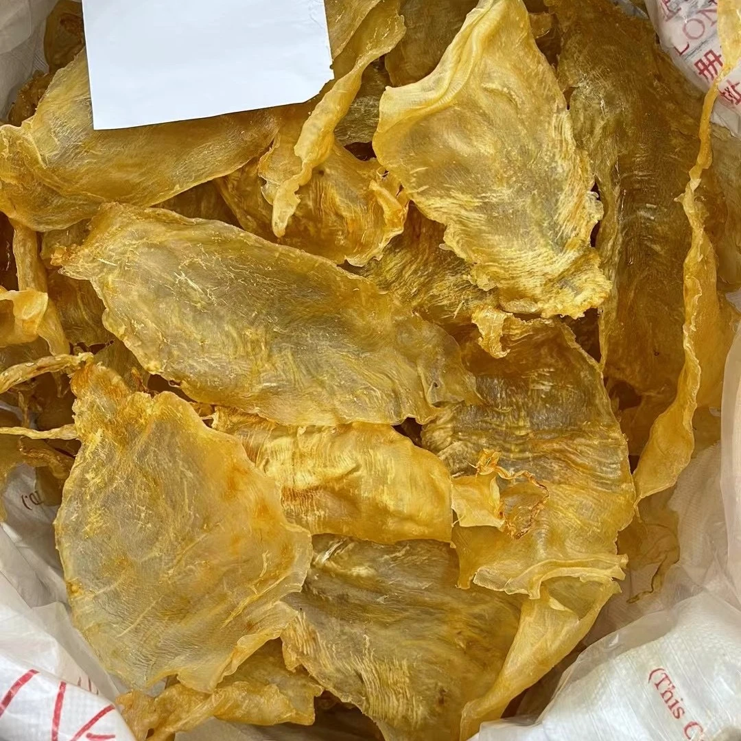 48头【斗湖公胶】纯公胶口感Q弹不腥