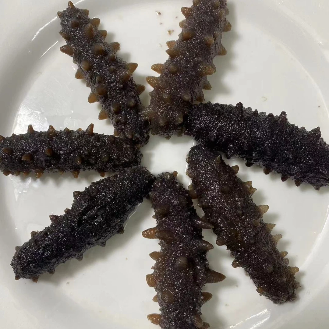 纯淡即食 海参 肉质Q弹