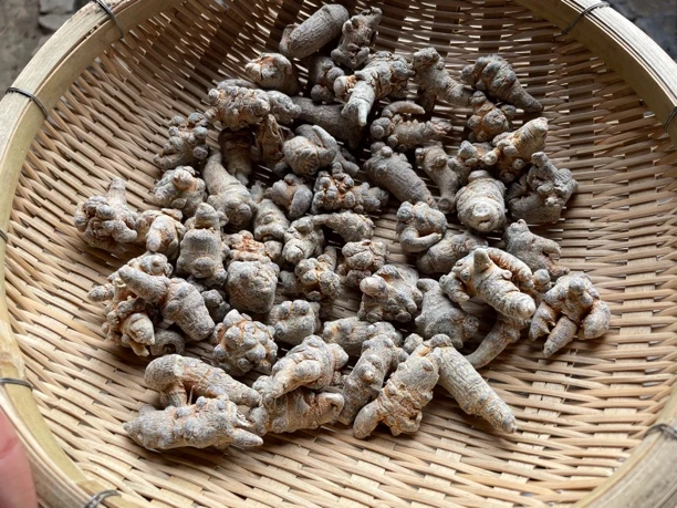 山农田园优选店 农家下山【齐～菇】250g