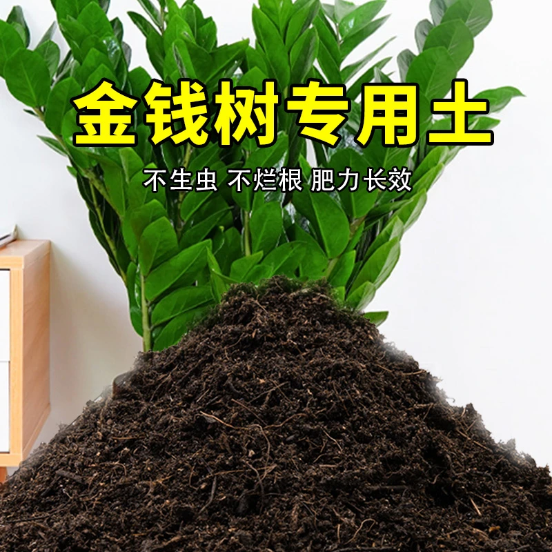 金钱树适用土盆景土金钱树专用土家用种植土养花土营养土养花专用