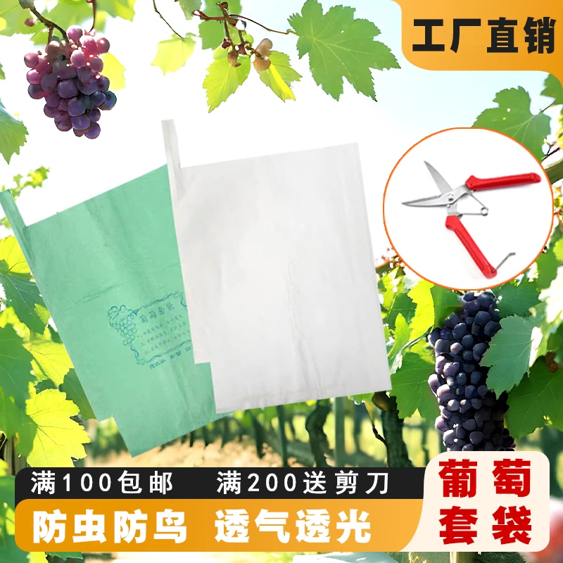 露天葡萄袋专用套袋葡萄防雨袋子育果袋枇杷莲雾水果防虫袋子裕农