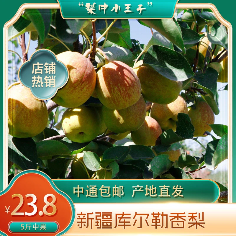 【新疆直发1】库尔勒香梨正宗新鲜爽口品质5斤库尔勒梨时令皮薄口感