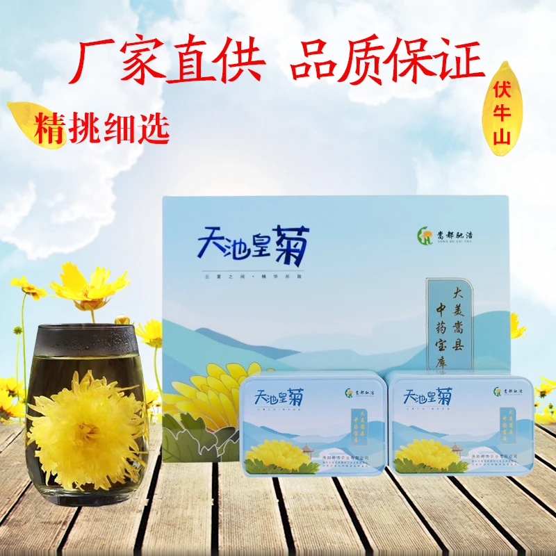 金丝皇菊大菊花一朵一杯大朵黄菊饱满贡菊花茶香独立包装产品包邮