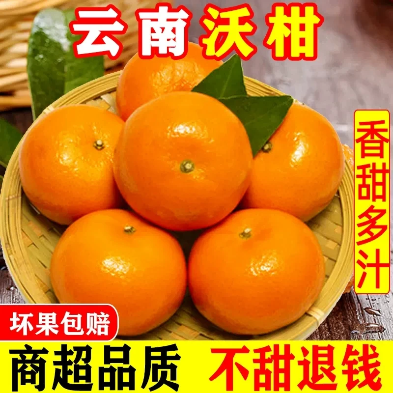 正宗云南沃柑整箱3/5斤新鲜橘子水果沙糖蜜橘砂糖椪柑橘桔子批发