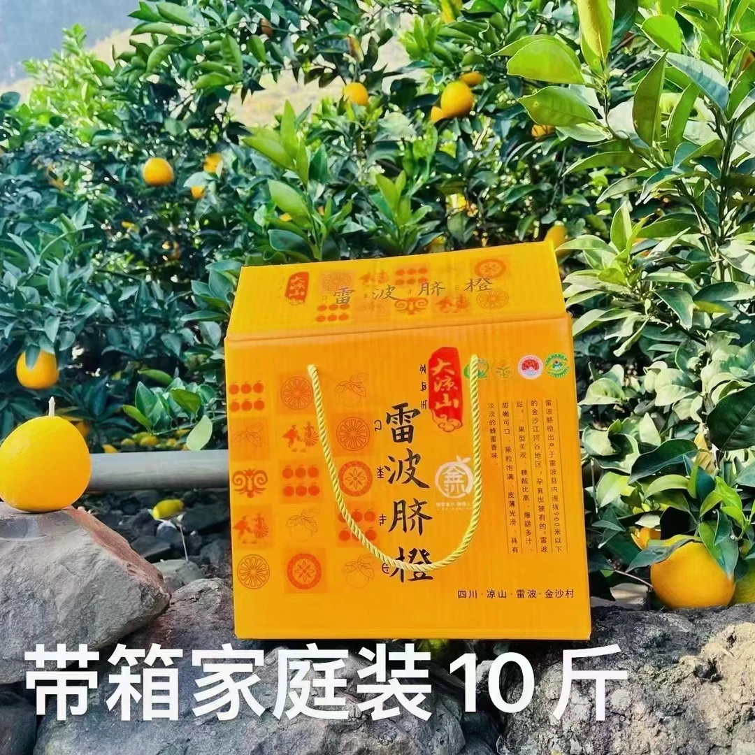 四川大凉山雷波脐橙自产自销