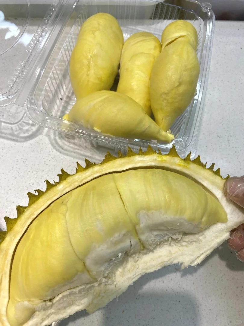 金枕榴莲