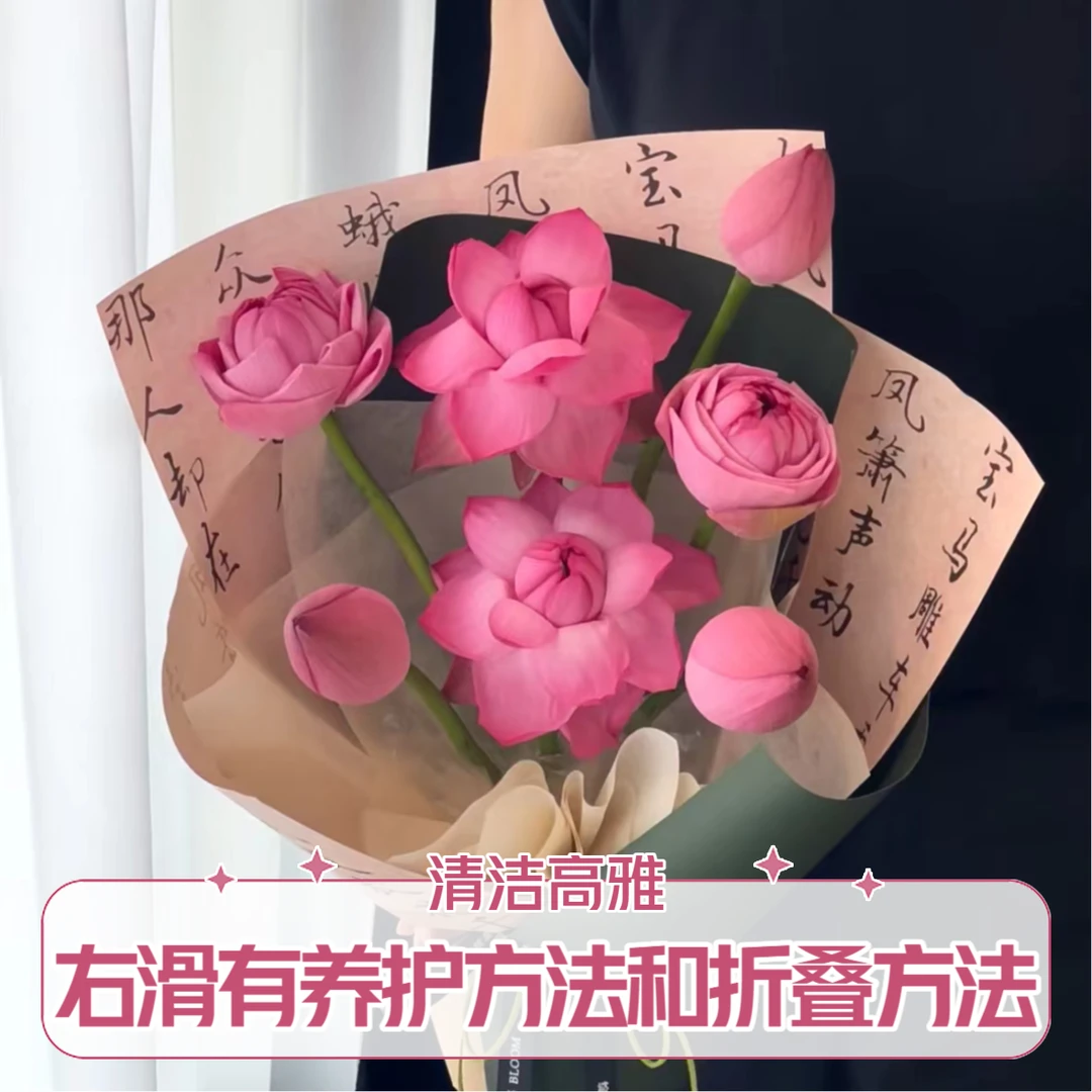 【荷花】单瓣荷花5枝，注：需要手动翻卷自己不会开（坤）