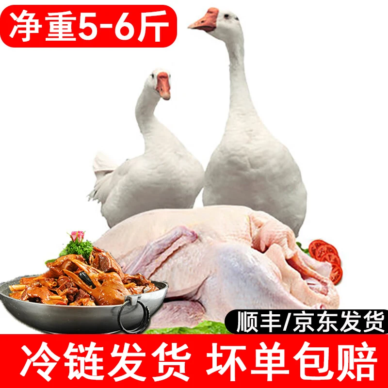 【买一送一】大鹅净重5-6斤买大鹅大鹅新鲜干净