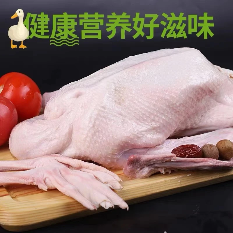 【拍鹅送鸭】真大鹅土大白鹅净重5-6斤含心肝