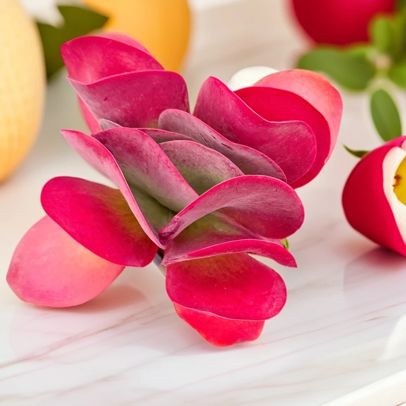 唐印120#SR 雪山多肉植物好看新手闭眼入阳台庭院一单也包邮