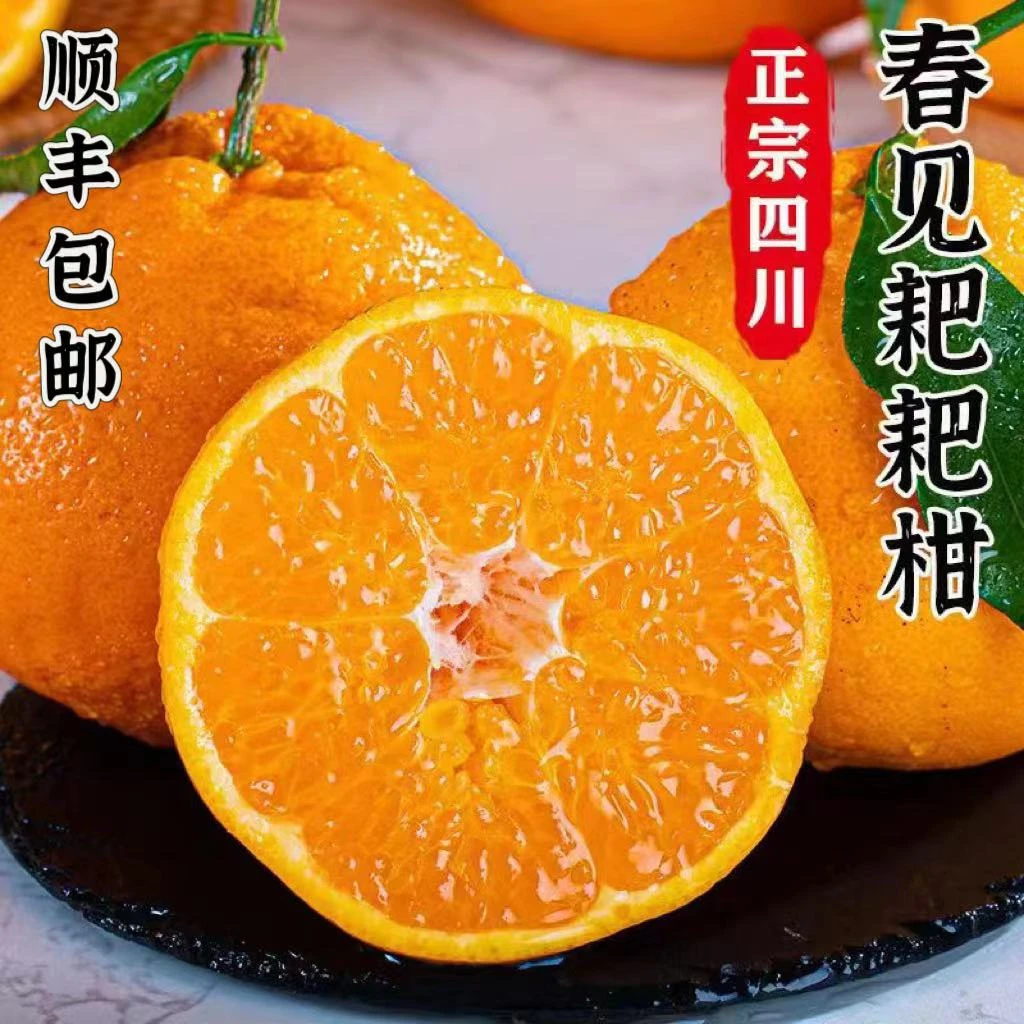 小王哥【顺丰包邮】四川春见耙耙柑晚採现摘柑橘水果清甜肉质饱满