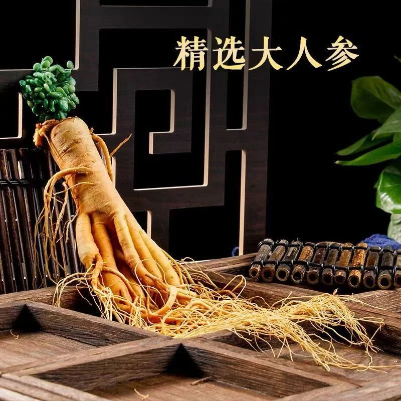 【长白山滋补保鲜参】真空长白山人参泡酒独立包装二两以上的大人参