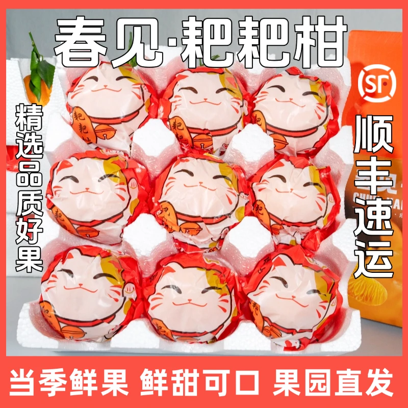 正宗四川春见耙耙柑新鲜10斤应季甜橘子粑粑柑精品水果礼盒装顺丰