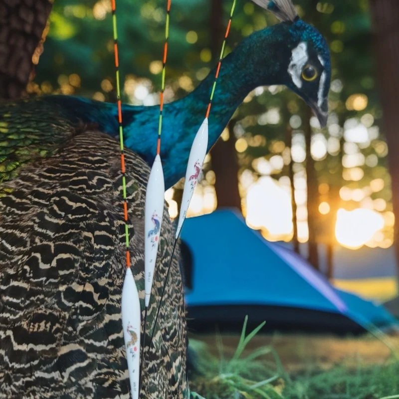 WVF【 R07   】新品高灵敏度手工孔雀羽浮漂