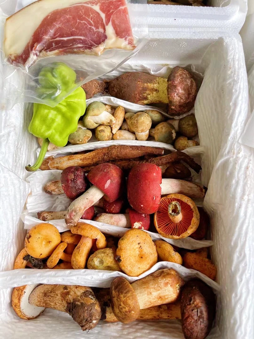 【小穗】云南新鲜野生菌组合煲汤拼盘8-10种菌子1斤顺丰空运包邮