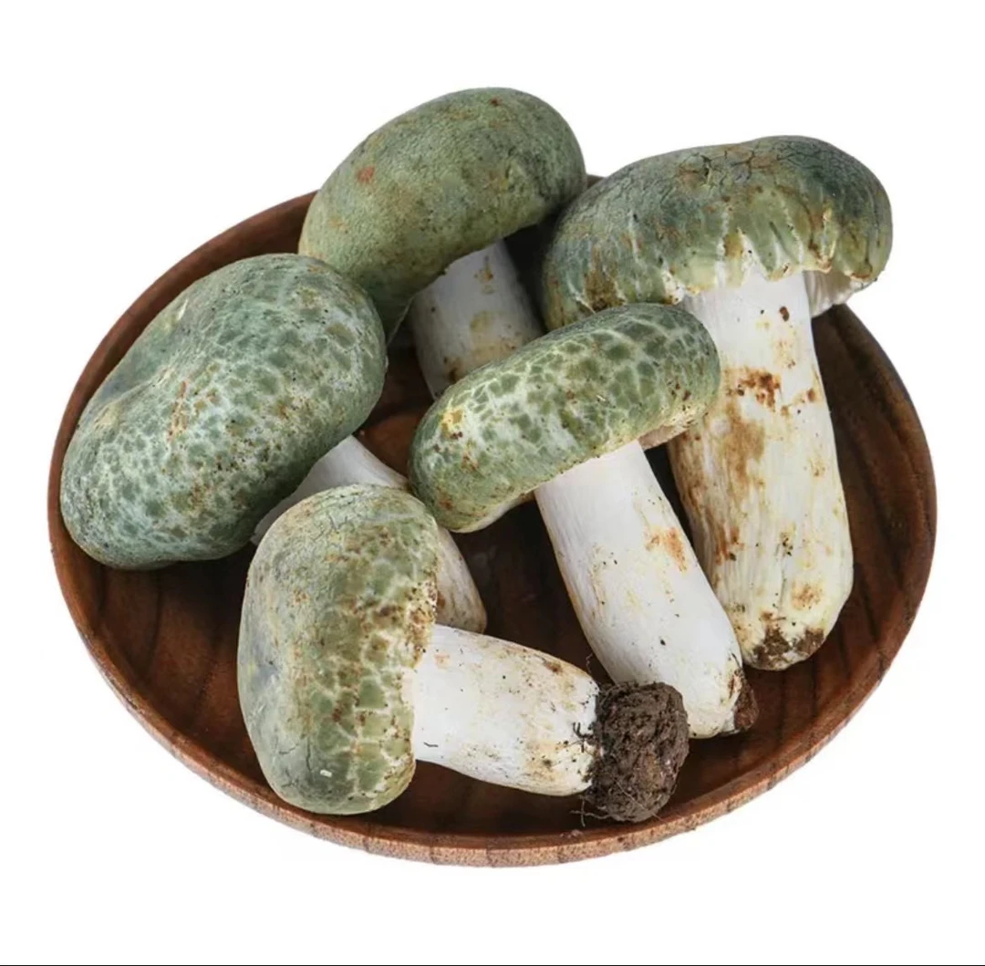 【小穗】云南野生菌精选新鲜青头菌食用菌山珍顺丰空运冷链包邮