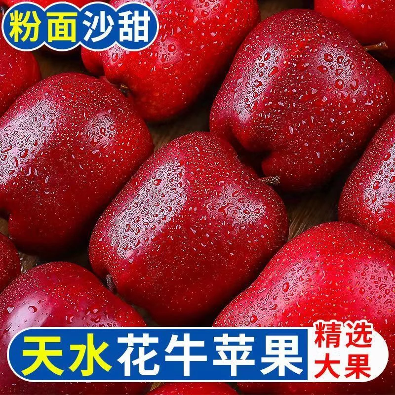 正宗【天水花牛苹果】2025年新花牛苹果脆甜多汁自然成熟应季水果