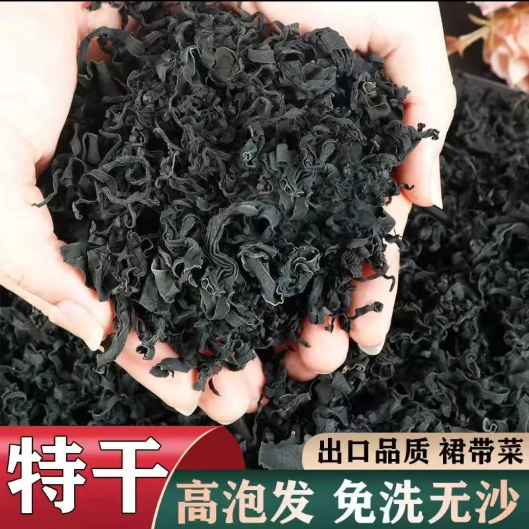 【裙带菜包邮】新鲜干裙带菜大海宝宝煲汤鲜美煮粥冷水高泡发