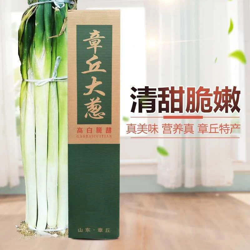 正宗章丘大葱精品礼盒装产地直发
