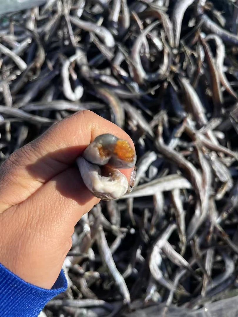 东港野生小银鱼干，半干[介意勿拍]，京东包邮，带运费险，七天无理由