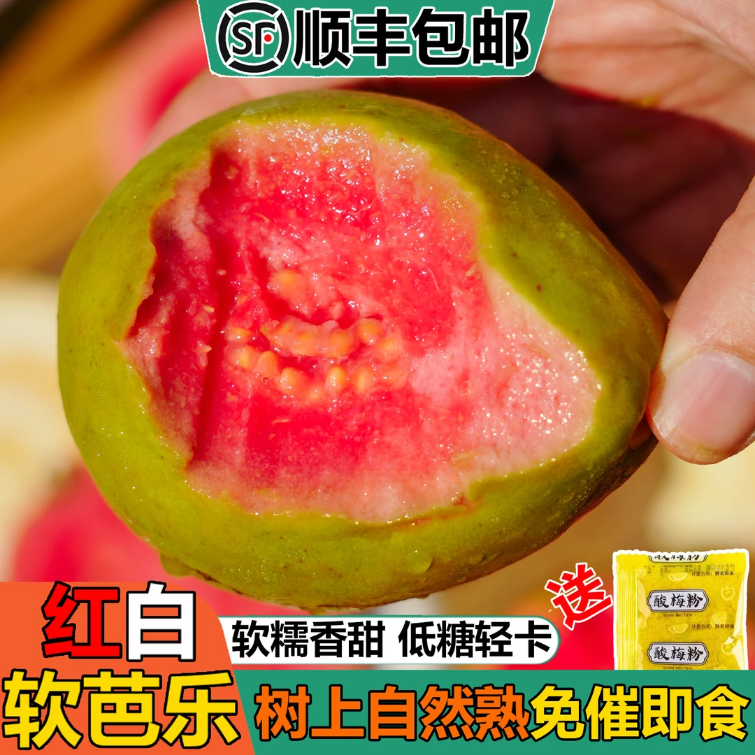 【顺丰包邮】红白软心芭乐双拼香甜奶油番石榴3-4.5斤 孕妇新鲜水果