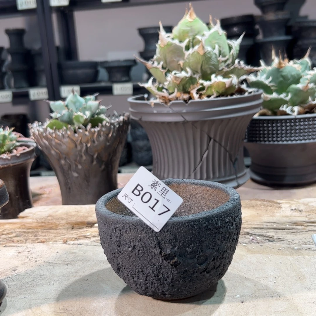 景德镇手工素内口10.5高8