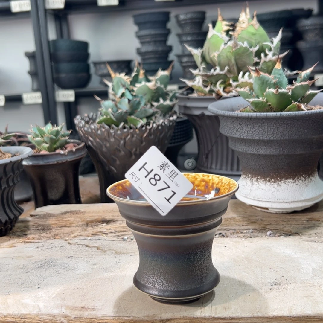 景德镇手工素里内口10高9.5