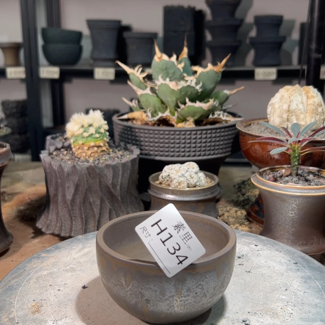 景德镇素里手工内口9.5高6