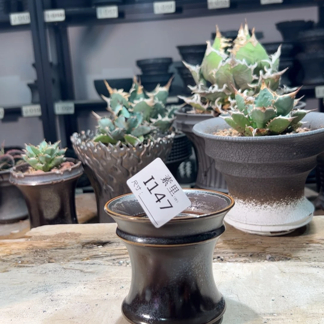 景德镇素里手工内口10高9.5