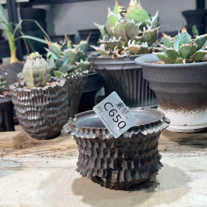 景德镇素里手工内口11高8