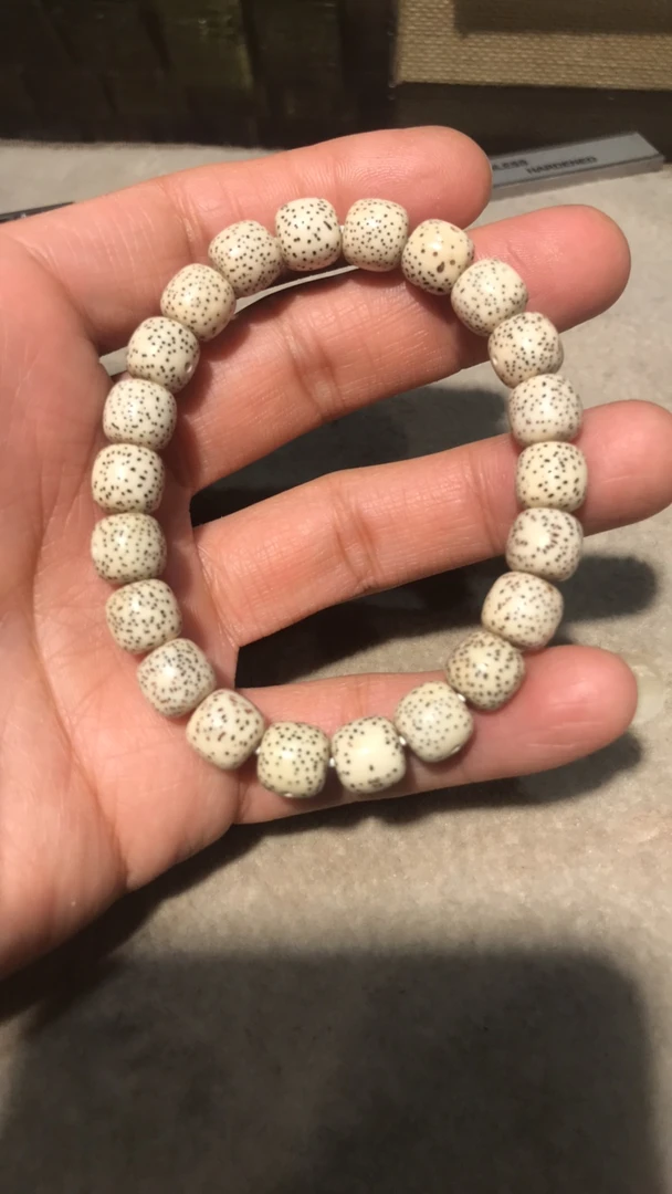 海南原生态星月菩提 尺寸9*10