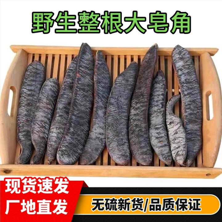 皂角野生 干皂角大皂角长皂角皂荚野生 天然洗发防脱500g包邮结婚