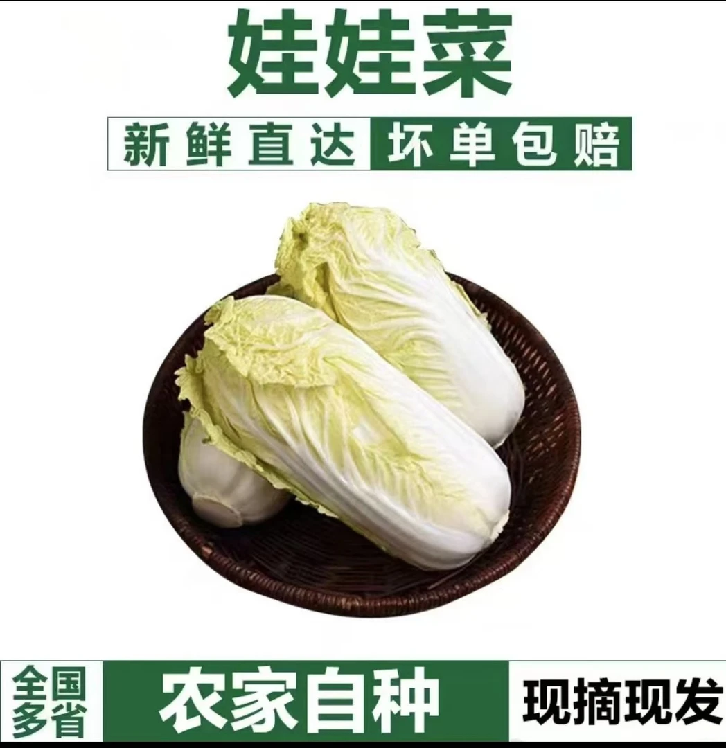 不泡药水】河南产地新鲜发货精选美味黄心娃娃菜5斤/9斤