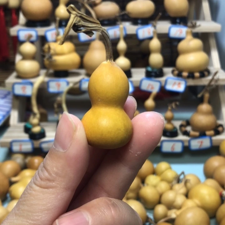 《**》直播间手把小葫芦