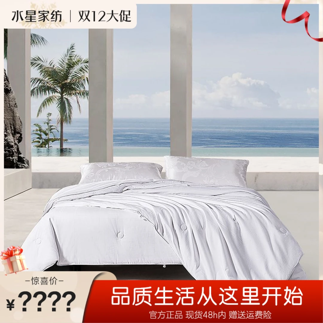 水星家纺A类四季子母100%桑蚕丝简约舒睡提花二合一被保暖被亲肤