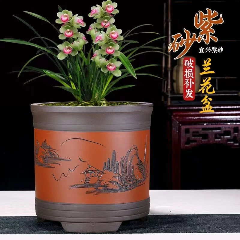宜兴紫砂君子兰花盆客厅阳台兰花文竹多肉盆景盆陶瓷古典花盆特价