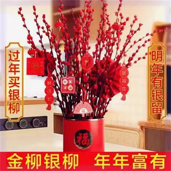 银柳真花鲜枝年宵花卉红色干花福桶银柳水培植物鲜花客厅室内装饰