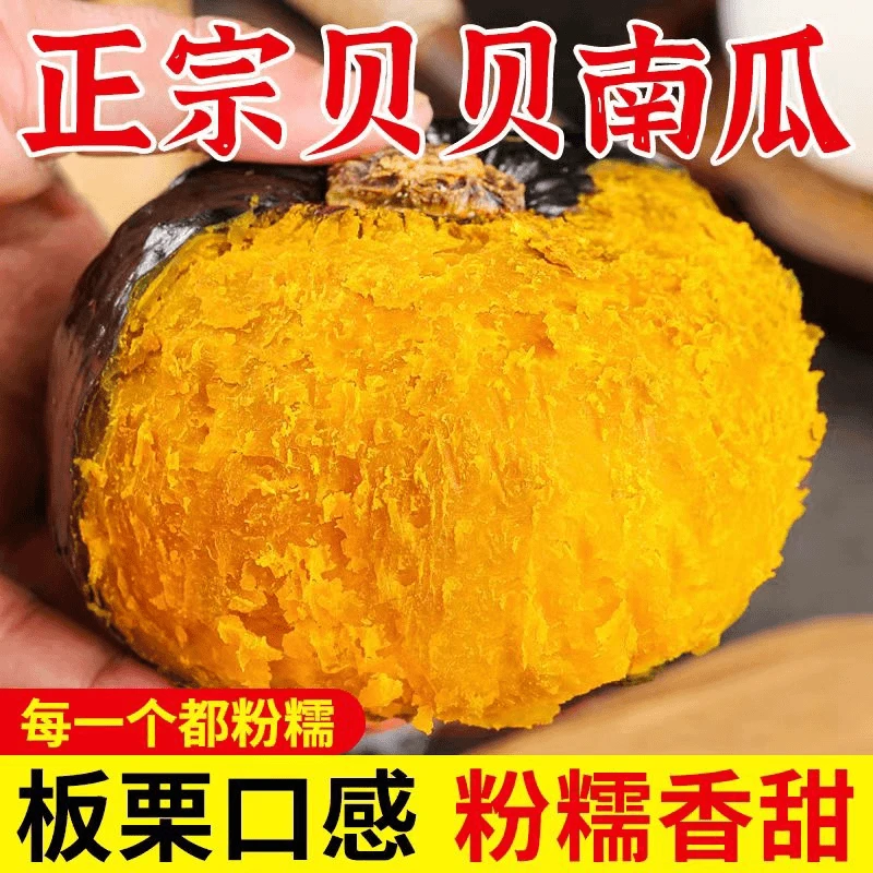 【粉糯香甜】正宗贝贝南瓜新鲜小南瓜粉糯香甜宝宝辅食