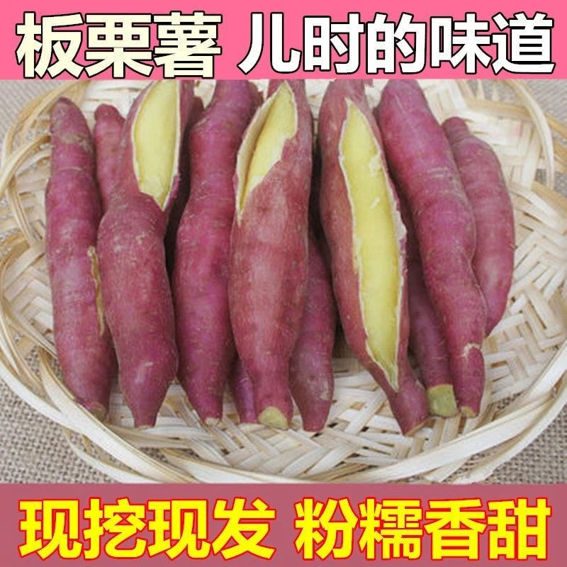 【产地直发】板栗红薯陕西沙地蜜薯 地瓜 新鲜番薯5/9斤