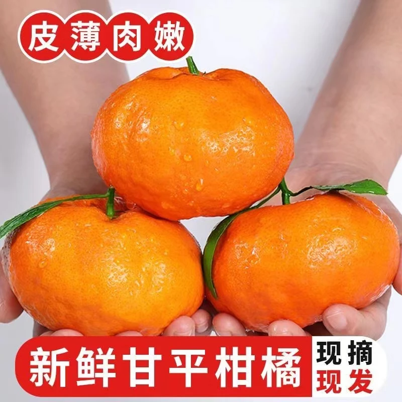 奇幻精灵【SF直发】四川柑橘皇后甘平大脸橘香甜多汁5/8斤