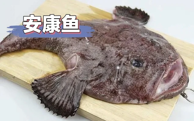 安康鱼（蛤蟆鱼）自家小船 现捕现卖 顺丰发货
