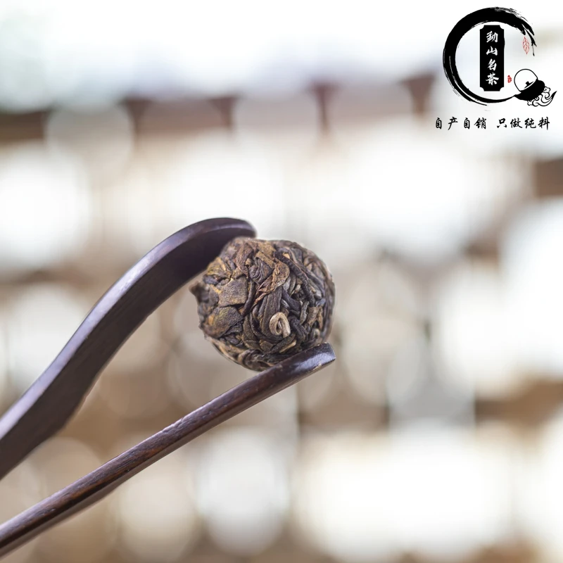 绿水塘古树龙珠头春头采普洱茶