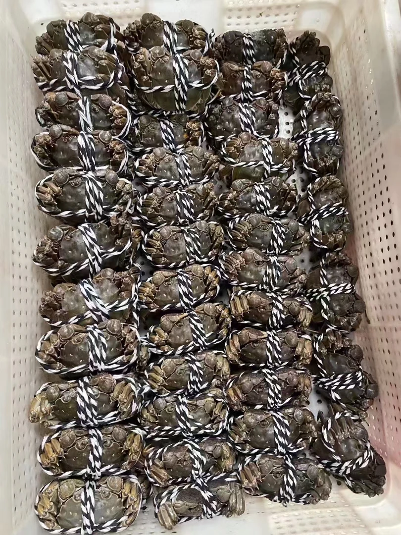 鲜活大闸蟹1.4-1.6母8只装