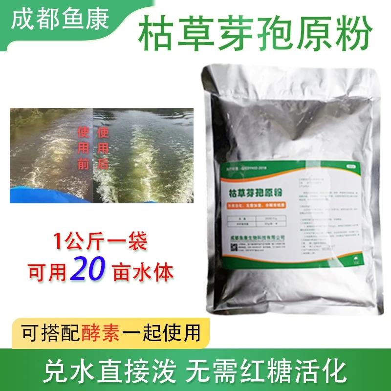 鱼康芽孢杆菌原粉1公斤分解有机质、残饵粪便 水产养殖 调水