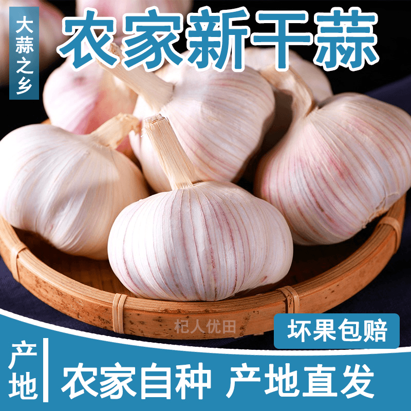 【农家蒜】今日新干蒜可种可腌河南大蒜头紫白皮大蒜5斤2斤3斤9斤