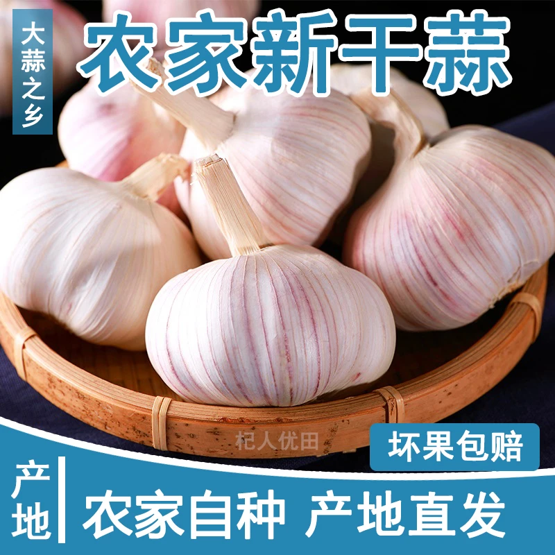 【农家新干蒜】5斤大蒜头可种可腌河南大蒜头紫白皮大蒜1斤3斤9斤