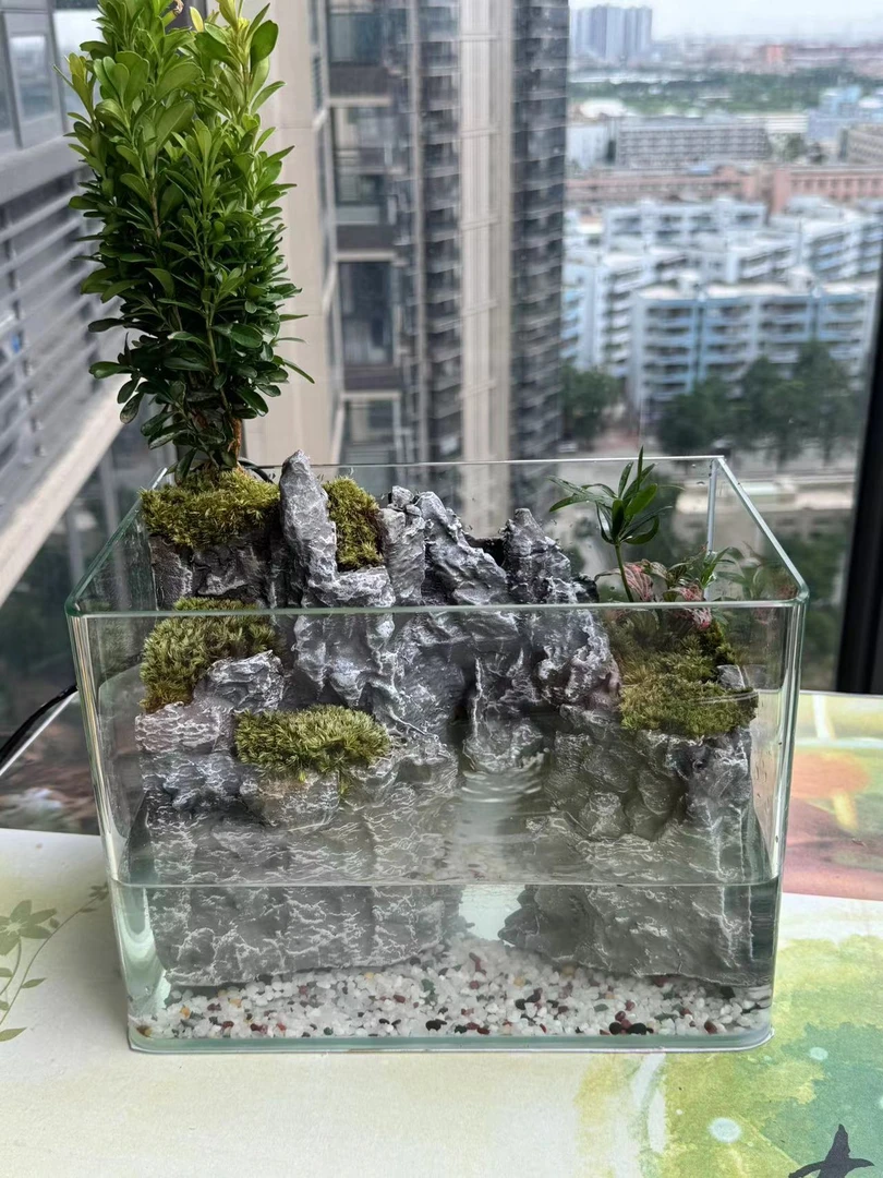 小猫钓鱼–水陆缸鱼缸造景微景观成品发货客厅书桌办公室山水景观
