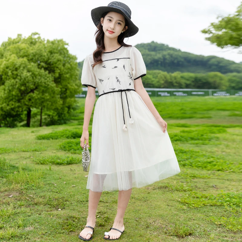 女童连衣裙2025新款夏季儿童国风洋气网纱公主裙夏装女孩网红裙子